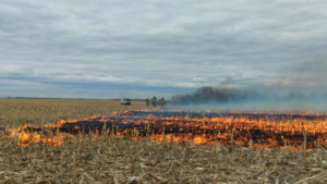 Амурчанам напоминают о действии на территории региона особого противопожарного режима - gtrkamur.ru