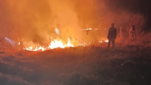 Свыше 1200 гектаров охвачены огнем в Амурской области - gtrkamur.ru