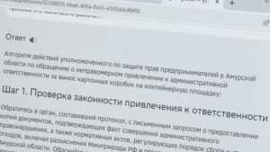 Впервые в Амурской области искусственный интеллект внедрён для оптимизации работы госучреждения - gtrkamur.ru