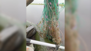 Водоемы в четырех муниципалитетах Приамурья очистят от мусора в этом сезоне - gtrkamur.ru