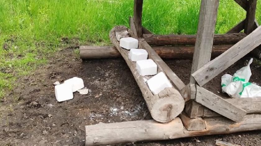 Для амурских копытных в заказниках закупили 18 тонн соли - gtrkamur.ru