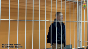 Почти 20 лет проведет в колонии строгого режима молодой амурчанин за поджог военкомата - gtrkamur.ru