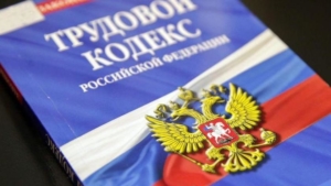 Данные о погибших при крушении Ан-24 собирает Амурская трудовая инспекция - gtrkamur.ru