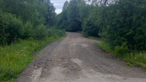 В Сковородинском округе из-за подъёма воды на реке Большой Невер введён режим повышенной готовности - gtrkamur.ru