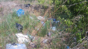 В Михайловском округе ликвидировали несанкционированную свалку - gtrkamur.ru