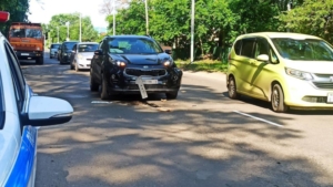 Жителей Белогорска просят подключиться к выявлению аварийных деревьев на улицах города - gtrkamur.ru
