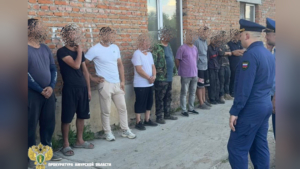 Более десятка нелегальных мигрантов выявили на заводе в Благовещенском округе - gtrkamur.ru
