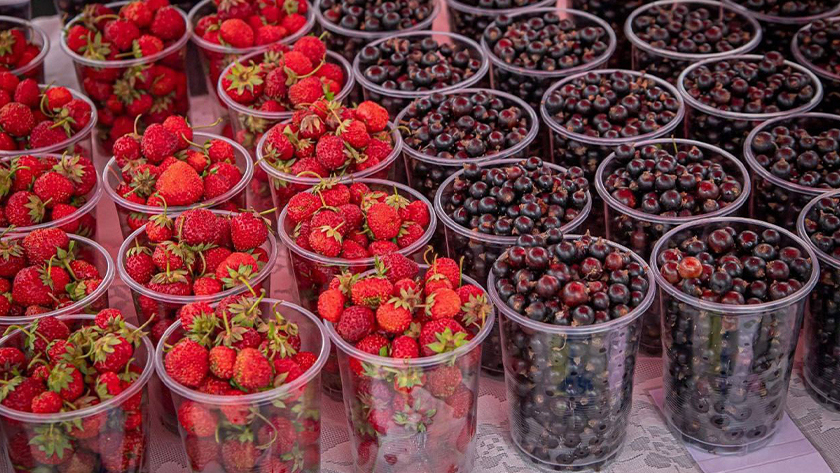 Ярмарки выходного для начнут свою работу в Благовещенске с 12 июля - gtrkamur.ru