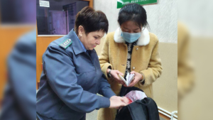 В Приамурье пресекли ввоз 17 килограммов плодовоовощной продукции из Китая без документов - gtrkamur.ru