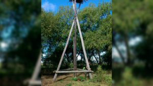 В Приамурье гнезда аистов защищают от пожаров - gtrkamur.ru