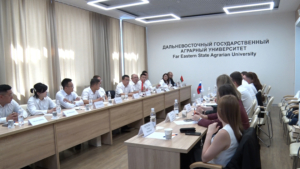 Амурская область обменялась опытом ведения молодежной политики с китайской и белорусской делегациями - gtrkamur.ru