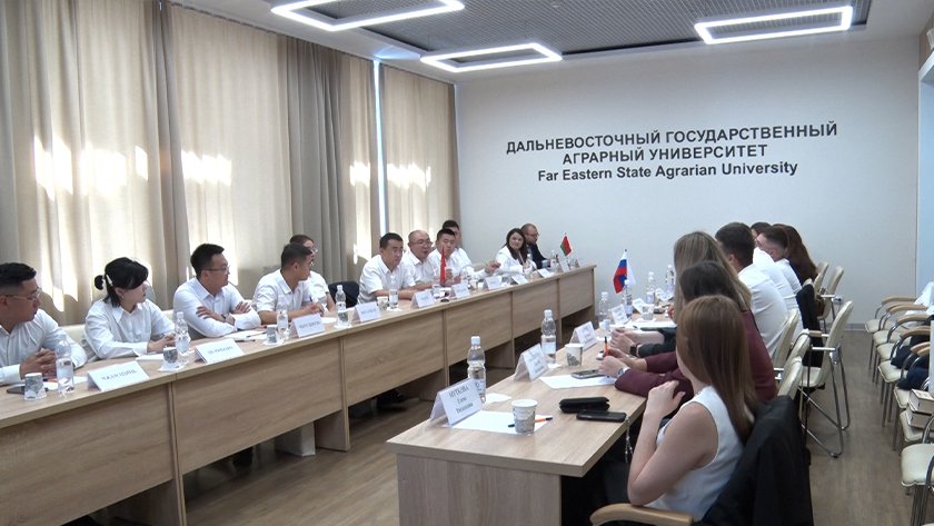 Амурская область обменялась опытом ведения молодежной политики с китайской и белорусской делегациями - gtrkamur.ru