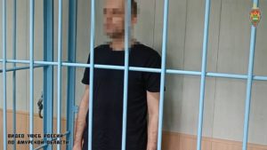 За комментарии экстремистской направленности амурчанина отправили в колонию на 4 года - gtrkamur.ru