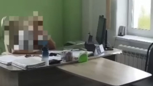 В Михайловском округе за присвоение полумиллиона рублей заключили под стражу главврача районной больницы - gtrkamur.ru