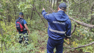 В амурских лесах стали чаще теряться грибники - gtrkamur.ru