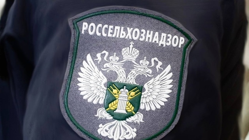 В Приамурье испорченные сельхозземли обошлись предприятию в 6,4 миллиона рублей - gtrkamur.ru