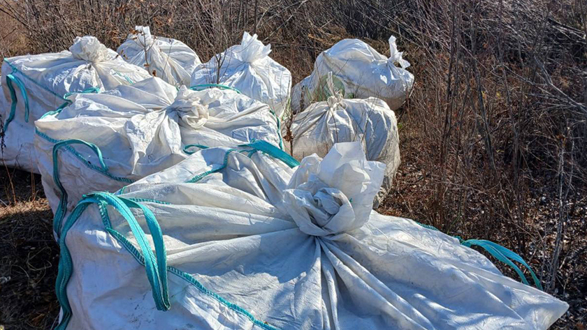 В Приамурье задержали «фермеров», у которых обнаружили 1,5 тонны конопли - gtrkamur.ru