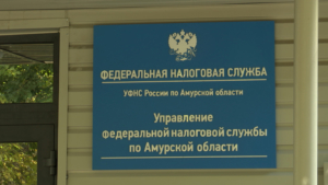 92 процента амурчан отчитались о доходах за 2024 год - gtrkamur.ru