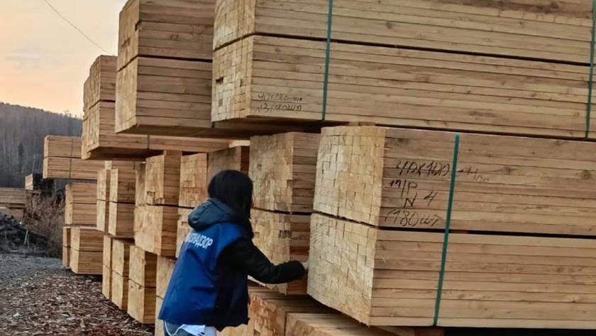 Предпринимателя, который вывозил лес из карантинной зоны, заставили через суд оформлять сертификаты - gtrkamur.ru
