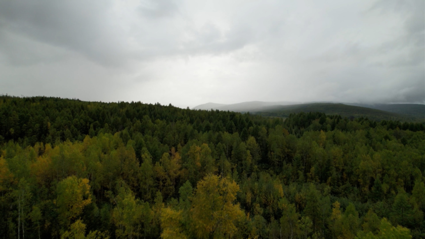 Дух приключений против духа Эзопа. Репортаж Анны Шантыка - gtrkamur.ru