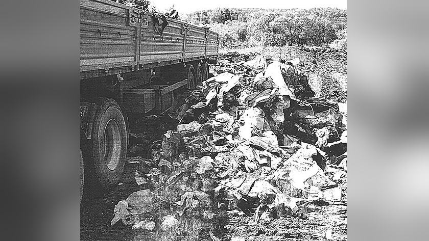 За свалку у озера в Благовещенске амурчанин заплатил штраф - gtrkamur.ru