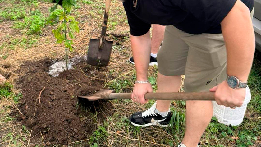 Участники спецоперации помогли в озеленении Благовещенска - gtrkamur.ru