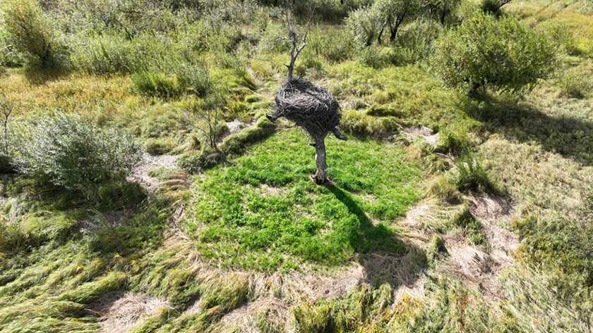 В Приамурье начали проверять готовность заказников к пожароопасному периоду - gtrkamur.ru