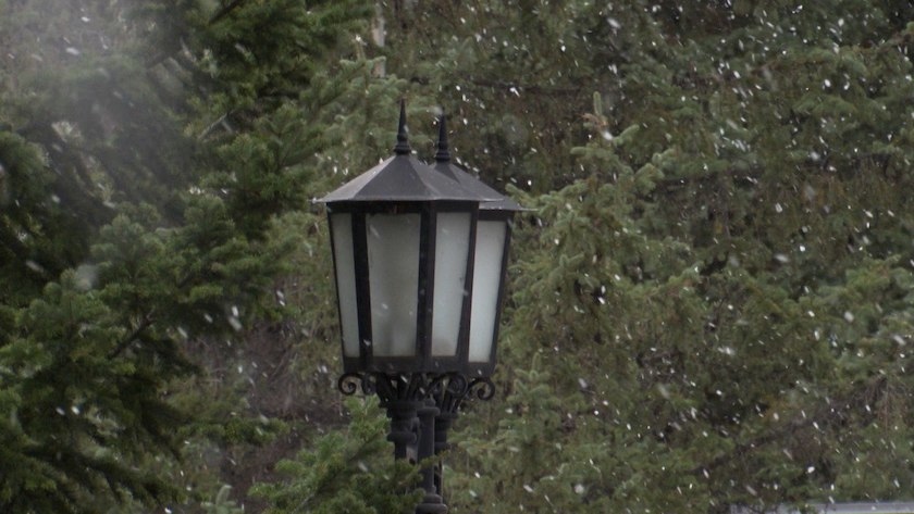 Снег на западе региона: прогноз погоды на 19 ноября в Приамурье - gtrkamur.ru