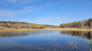 Без осадков: прогноз погоды на 24 октября в Приамурье - gtrkamur.ru