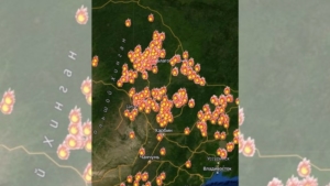 Сотни возгораний в Китае затягивают Амурскую область дымом - gtrkamur.ru