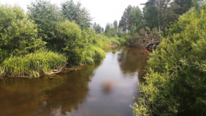 Их нет на карте: четыре природных объекта Приамулья обрели официальный статус - gtrkamur.ru