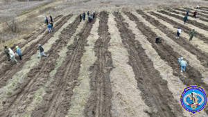 Более тысячи сосен высадили амурчане в акции «Сохраним лес!» - gtrkamur.ru