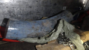 В Приамурье пресекли попытку контрабанды свыше 100 килограммов бивней мамонта - gtrkamur.ru