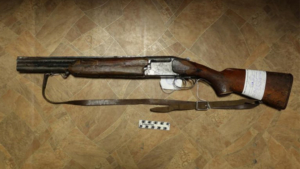 Амурчане с начала года сдали 621 единицу оружия и получили за это свыше 4 миллионов рублей - gtrkamur.ru