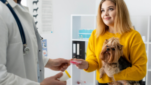 Незаконную продажу ветеринарных препаратов разоблачили в Белогорске — как не стать жертвой - gtrkamur.ru