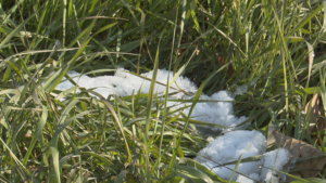 Днем до +2 °С: погода в Приамурье на 4 ноября - gtrkamur.ru