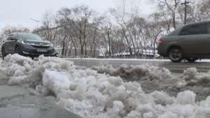 Новая серия циклонов принесёт осадки на большую часть Амурской области - gtrkamur.ru