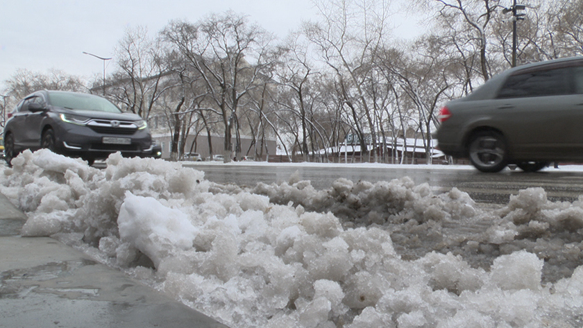 Новая серия циклонов принесёт осадки на большую часть Амурской области - gtrkamur.ru