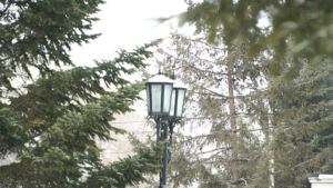 Грядущий снегопад в Амурской области превысит норму в 1,5 раза - gtrkamur.ru