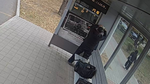 От художеств на остановках к объявлениям: благовещенца снова поймали на нарушении - gtrkamur.ru