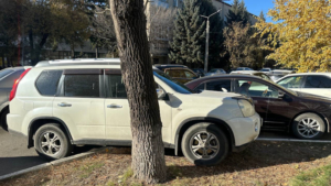 Водители заплатят 850 тысяч рублей штрафов за парковку на газонах в Благовещенске - gtrkamur.ru