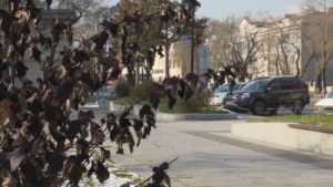 В области ухудшится дорожная обстановка: прогноз погоды на 30 октября - gtrkamur.ru