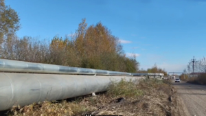 В Благовещенске выявили почти 140 нарушений из-за заросших газонов рядом с трубопроводом - gtrkamur.ru