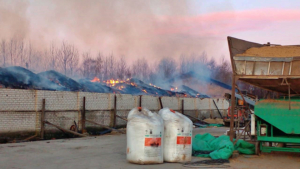 В селе Лиманное крупный пожар произошел на складе кукурузной продукции - gtrkamur.ru