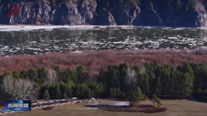 Шуга пошла по Амуру в западной части региона - gtrkamur.ru