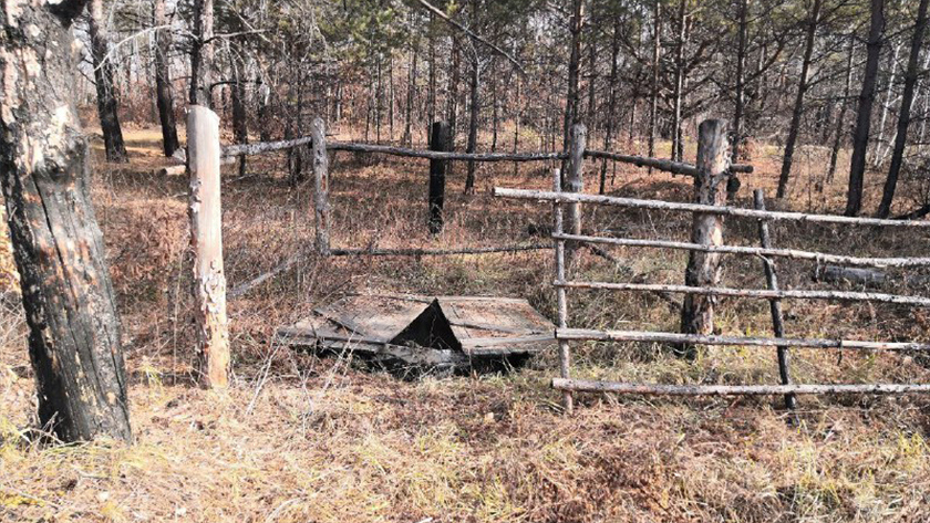 В Приамурье продолжается борьба с бесхозяйными скотомогильниками - gtrkamur.ru