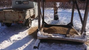 В амурских заказниках открылись первые столовые для диких животных - gtrkamur.ru