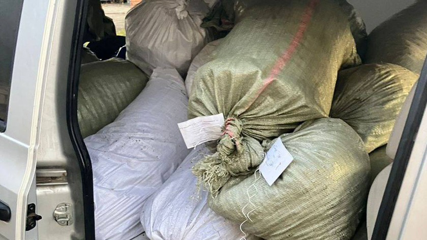 Благовещенские наркосборщики возили коноплю на такси - gtrkamur.ru