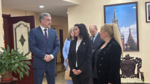 Российским блогерам, которые живут в Китае, организуют экскурсионный тур в Приамурье - gtrkamur.ru