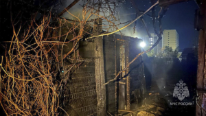 Огонь в частном секторе: в Благовещенске едва не сгорели дачные дома - gtrkamur.ru